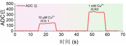 实验检测结果